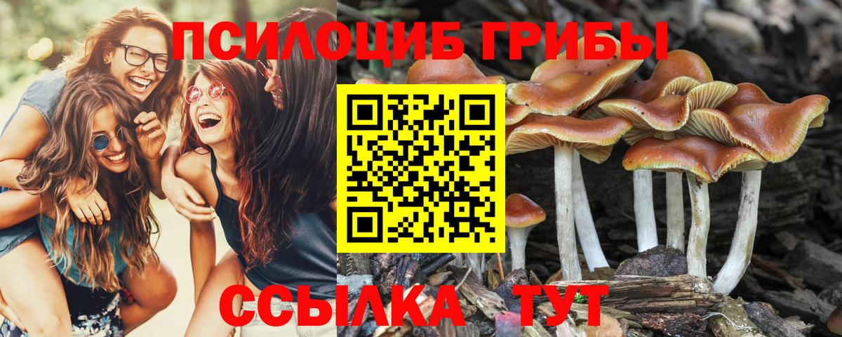 Псилоцибиновые грибы MAGIC MUSHROOMS  Вход с VPN  Галлюциногенные грибы мицелий  Чебаркуль 