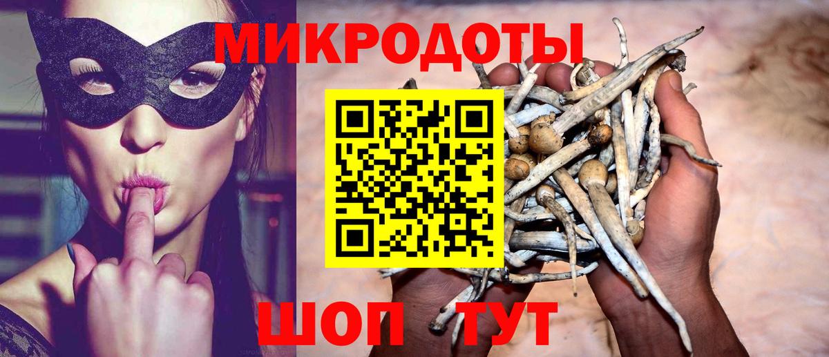Галлюциногенные грибы MAGIC MUSHROOMS Чебаркуль